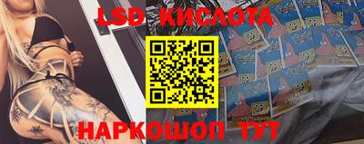 прущие грибы Аргун