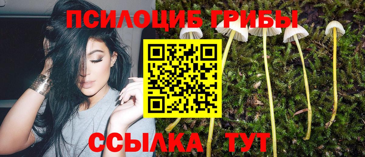 где продают   Ачхой-Мартан  Псилоцибиновые грибы мухоморы  Галлюциногенные грибы прущие грибы 