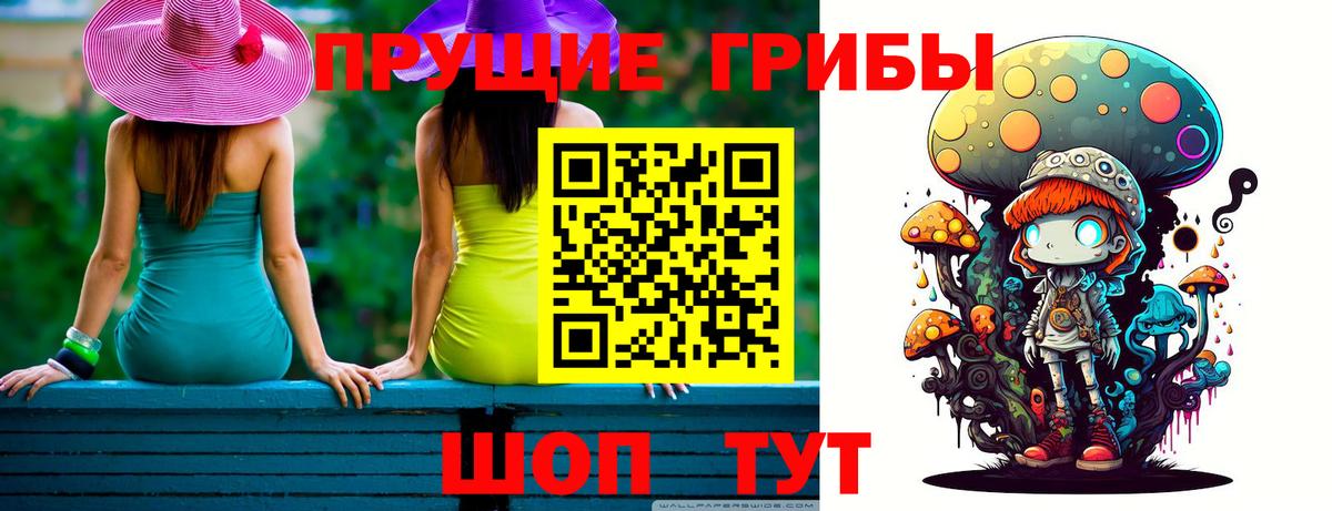Псилоцибиновые грибы GOLDEN TEACHER Ачхой-Мартан